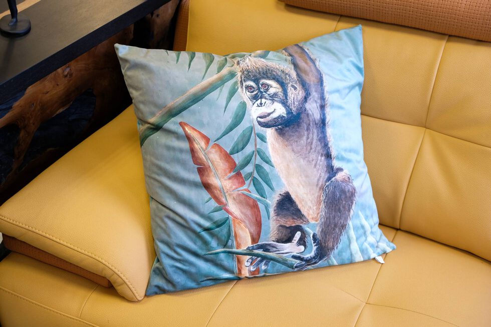 Coussin imprimé à retrouver dans votre magasin meubles et décoration à Ugine (73)