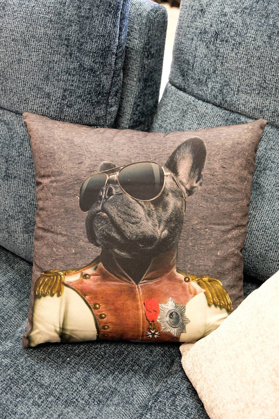 Coussin imprimé à retrouver dans votre magasin meubles et décoration à Ugine (73)