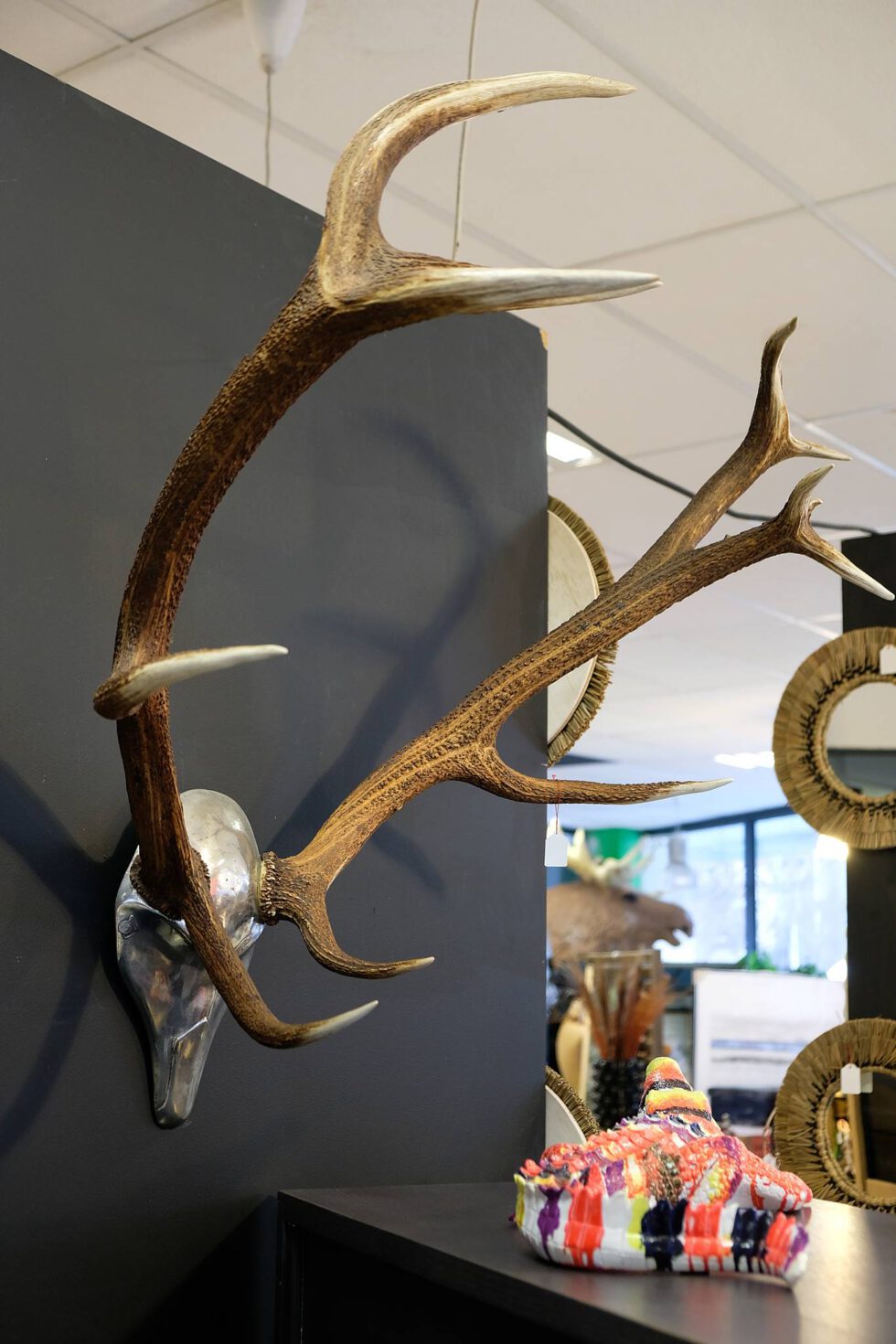 Décoration bois de cerf, à retrouver chez Meubles Cocoon, votre enseigne meubles & déco à Ugine (73)