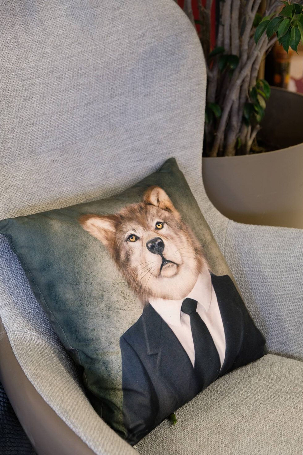 Coussin imprimé à retrouver dans votre magasin meubles et décoration à Ugine (73)