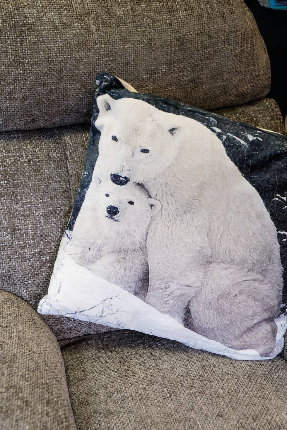 Coussin imprimé à retrouver dans votre magasin meubles et décoration à Ugine (73)